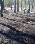 Spalona ziemia w lesie, dalej dwóch strażaków z prądem gaśniczym, w oddali wóz strażacki na drodze pożarowej