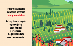Nie wypalaj traw - straty. Pożary łąk i lasów powodują ogromne straty materialne. Pożary bardzo często wymykają się spod kontroli i przenoszą się na pobliskie lasy oraz zabudowania.