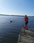 Strażak w suchym skafandrze stoi na pomoście i szykuje się do skoku. W wodzie znajduje się osoba poszkodowana.