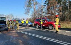 Na drodze stoją dwa uszkodzone pojazdy, dwa radiowozy oraz samochód strażacki. 4 strażaków i 3 policjantów pracują przy pojazdach.