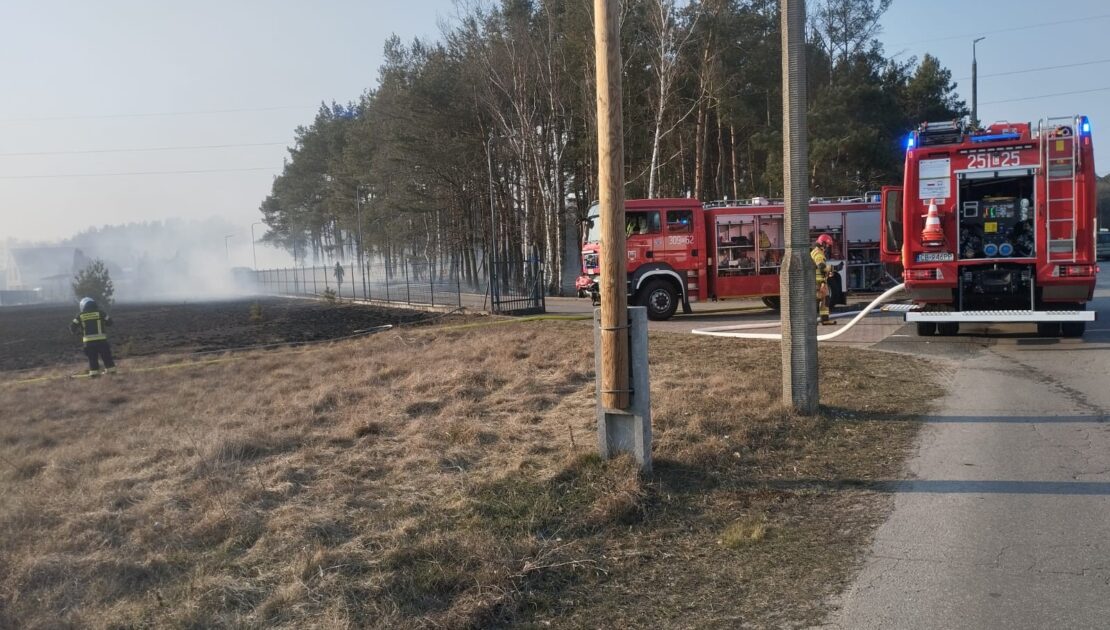 Po prawej stronie widać spaloną tląca się trawę. Po lewej stronie w tyle widać las. Przed lasem stoją dwa samochody strażackie.