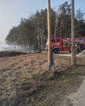 Po prawej stronie widać spaloną tląca się trawę. Po lewej stronie w tyle widać las. Przed lasem stoją dwa samochody strażackie.