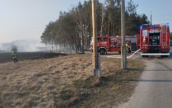 Po prawej stronie widać spaloną tląca się trawę. Po lewej stronie w tyle widać las. Przed lasem stoją dwa samochody strażackie.