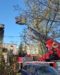Za uszkodzonym samochodem osobowym stoi drabina mechaniczna z wysuniętym koszem, w którym są strażacy. W tle widać duże drzewo oraz gałęzie leżące dookoła.