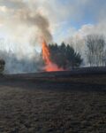 W oddali widać palące się drzewa, dookoła trawa