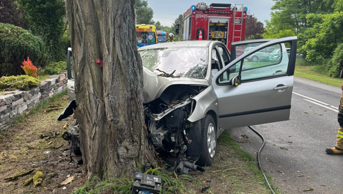 Rozbity srebrny samochód osobowy ze zmiażdżonym przodem po uderzeniu w grube drzewo na trawiastym poboczu. W tle, na drodze za pojazdem, widoczne są dwa wozy strażackie oraz radiowóz policyjny na sygnale.
