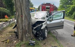 Rozbity srebrny samochód osobowy ze zmiażdżonym przodem po uderzeniu w grube drzewo na trawiastym poboczu. W tle, na drodze za pojazdem, widoczne są dwa wozy strażackie oraz radiowóz policyjny na sygnale.